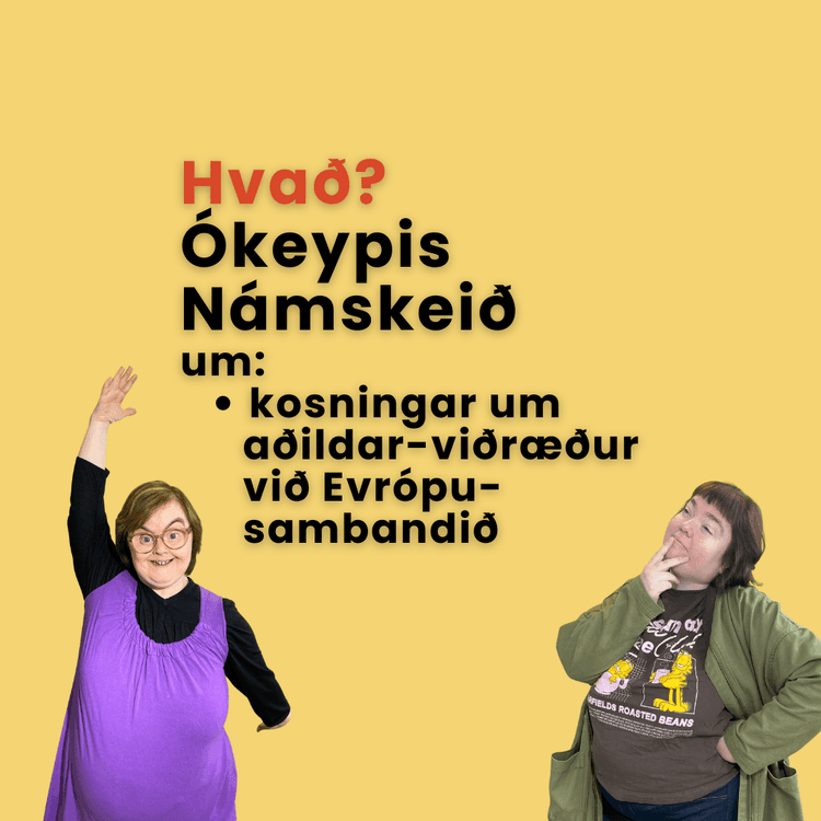 Hvað ætla ég að kjósa? (Fræðsla)